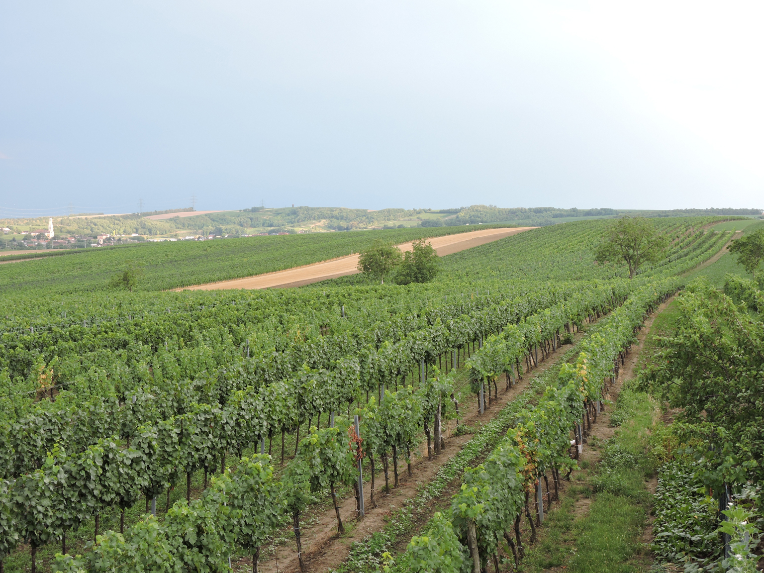 Radlerrast am Kirchberg